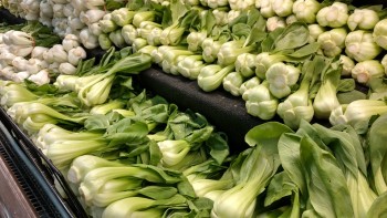 Stir Fried Bok Choy | ELIJA Farm