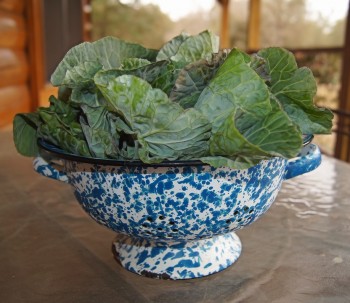 Collard Greens with Caramelized Onions | ELIJA Farm