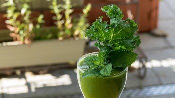 Kale Smoothie | ELIJA Farm