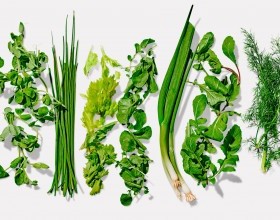 Fresh Herb Recipes
