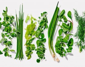 Fresh Herb Recipes