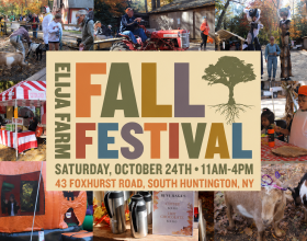 Fall Festival 2026