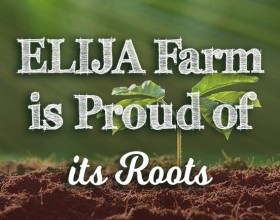 ELIJA Farm is Proud of its Roots