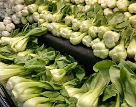 Stir Fried Bok Choy