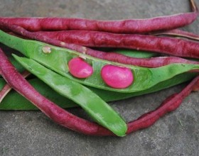 Red Noodle Beans with Garlic 