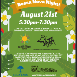 Summer Concert Series - Bossa Nova Night!