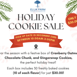 Holiday Cookie Sale 2025