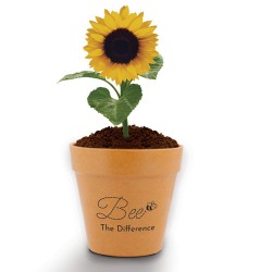 Mother's Day Sunflower Pot Sale