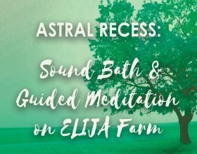 Guided Meditation