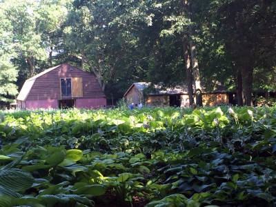 ELIJA Farm Sponsorships & Naming Opportunities