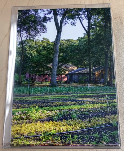 ELIJA Farm Note Cards (Pack of 14)