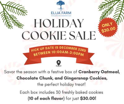 Holiday Cookie Sale 2025