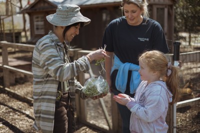 Toddler Thyme 4 Week Program - April