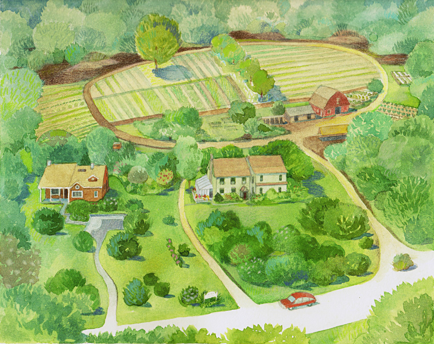 ELIJA Farm CSA illustration